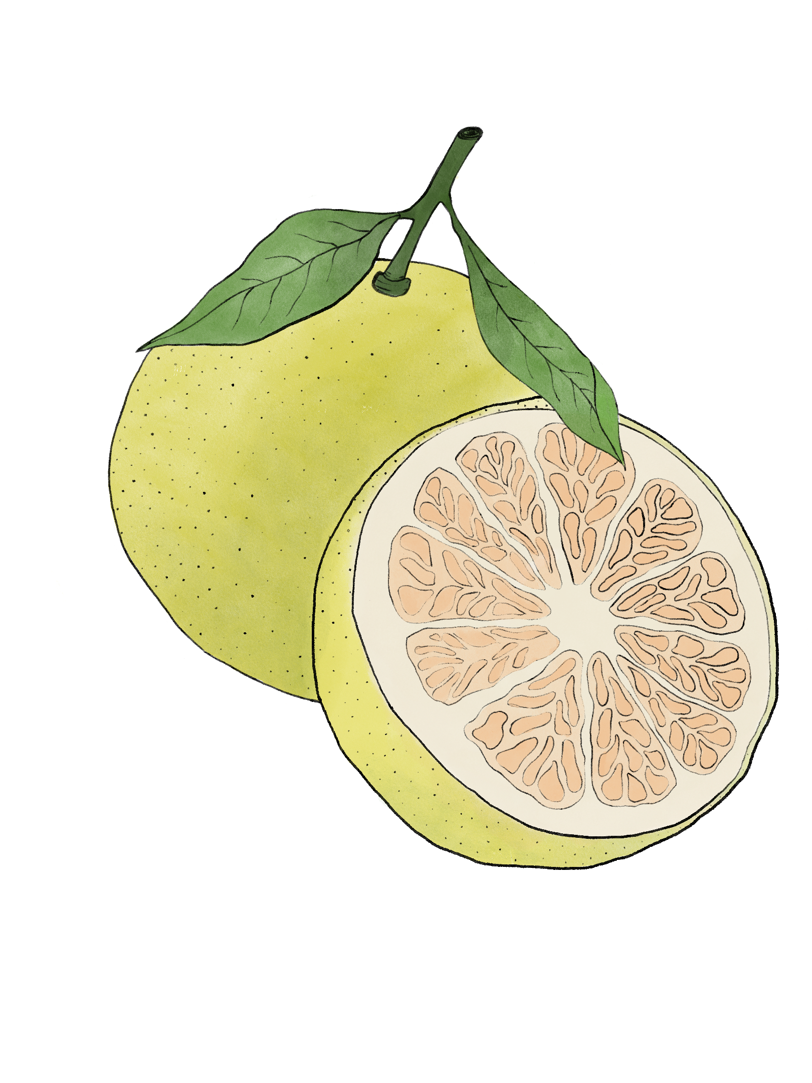 BRUNS - Sommarkit